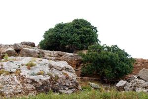 Acropolis in Lindos Greece photo