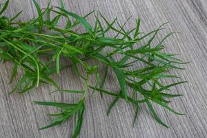 Tarragon on wooden background photo