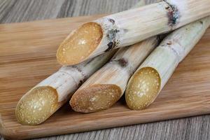 Bamboo shoots on wood photo