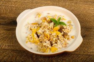 Muesli in a bowl on wooden background photo