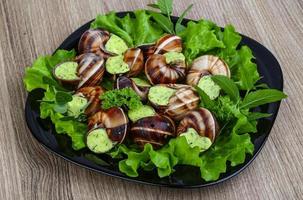 Escargot on the plate and wooden background photo