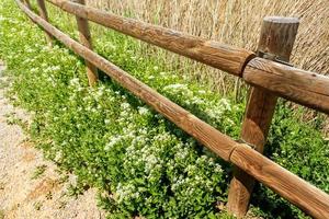 fence made of wooden beams on a hiking trail photo