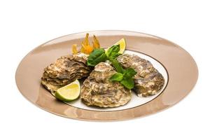 Fresh oyster on white photo