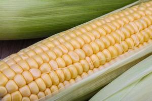 Sweet corn close up view photo