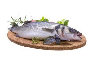 Raw seabass dish view photo