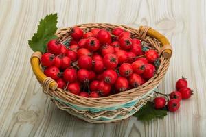 Hawthorn on wood photo