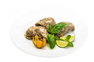 Fresh oyster on white photo