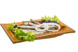 Dried Capelin on white photo