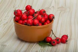 Hawthorn on wood photo