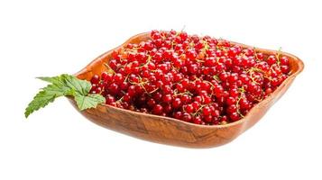 Red currant dish view photo