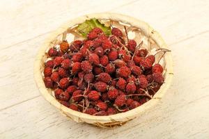 Dry hawthorn in a basket on wooden background photo