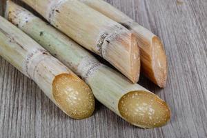 brotes de bambú en madera foto