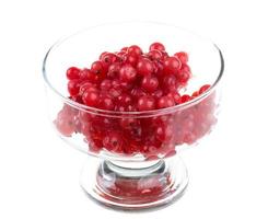 red currant on white photo