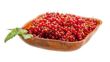 Red currant dish view photo