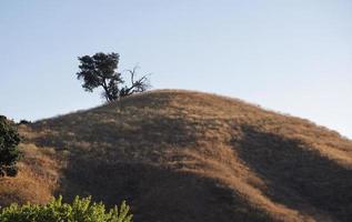 Landscape in Ed Davis Park at Towsley Canyon, California photo