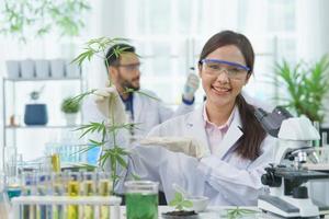 feliz mujer asiática científica sonrisa mirando espectáculo hojas de cannabis investigación cannabis extracto químico alternativo en granja agro laboratorio, farmacéutico mirar microscopio hierba hoja ganja medicina alternativa legal foto