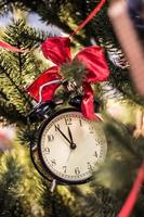 reloj de navidad lazo rojo en la rama de un árbol foto