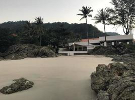 Beach in Thailand. Pictured is the beach and palm trees. The hotel is in the background. photo