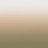 Beige Natural Noise textured gradient background photo