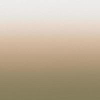 Beige Natural Noise textured gradient background photo