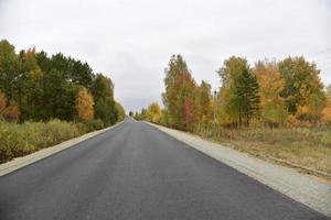 A high-speed asphalt road in autumn and a beautiful forest with a field. Highway in the autumn forest. photo
