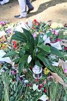 London in the UK in September 2022. Floral Tributes to the Queen in Green Park in London photo