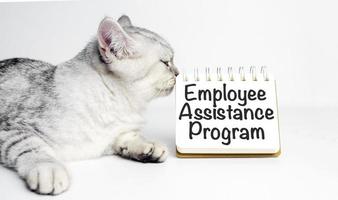 EAP Employee Assistance Program on notebook and grey cat photo