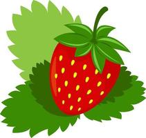 Strawberry with green leaves vector