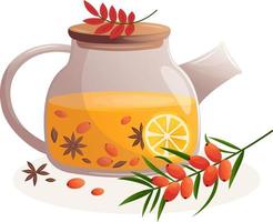 Teapot with sea buckthorn tea vector