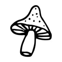Mushroom doodle vector graphic isolated on white. Potion ingredient