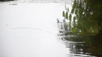 de dag efter de regn video