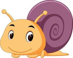 a comical snail cartoon vector