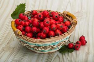 Hawthorn on wood photo