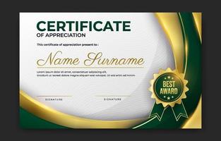 Certificate Professional Template vector