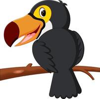 Cartoon bird toucan on a branch vector