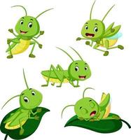 set collection grasshopper cartoon vector