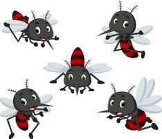 collection of mosquito cartoon vector