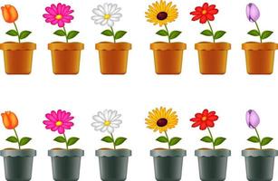 Different types of flowers in pots vector