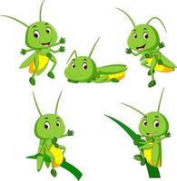 set collection grasshopper cartoon vector