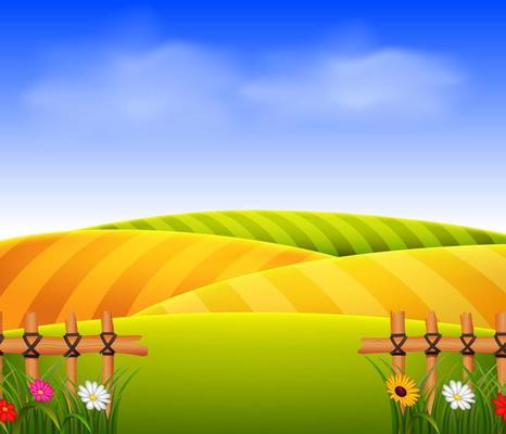 wheat field scenery