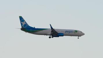 sochi, russo federazione novembre 20, 2020 - boeing 737 Pegasus discende per atterraggio a sochi internazionale aeroporto. aereo e uccelli nel il cielo video