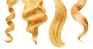 Shiny blond woman hair strand, curl or ponytail vector