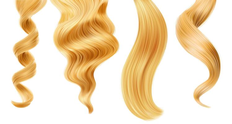 Hair Vector Art, Icons, and Graphics for Free Download