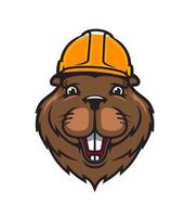 Beaver animal mascot in builder hardhat vector