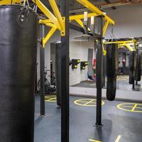 A vertical shot of boxing bags in the sports complex photo