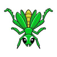 Cute little mantis cartoon posing vector