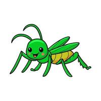 Cute little mantis cartoon character vector