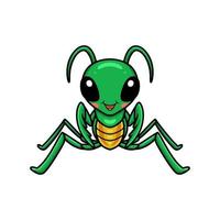 Cute little mantis cartoon character vector