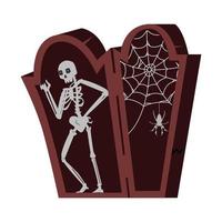 Skeleton in opened wooden coffin with spider and web Halloween vector illustration isolated on white.