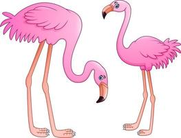 Cartoon two pink flamingo on white background vector